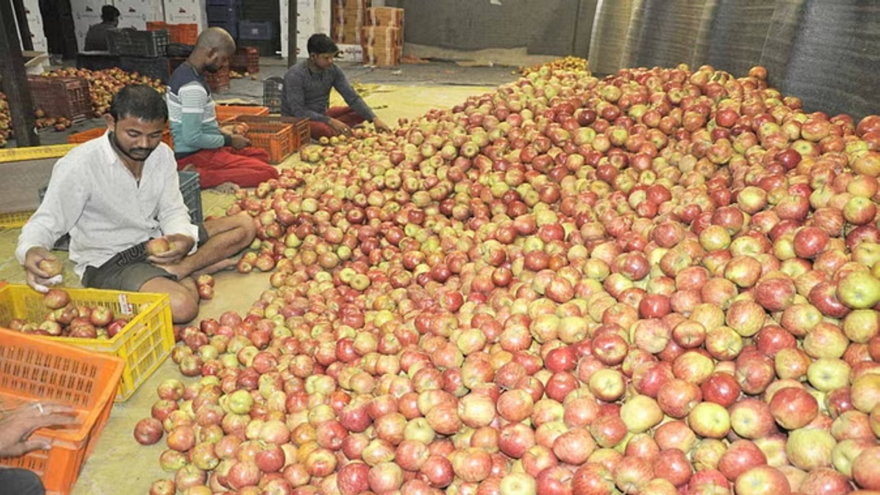 अमेरिका से भारत में सेब का निर्यात 16 गुना बढ़ा