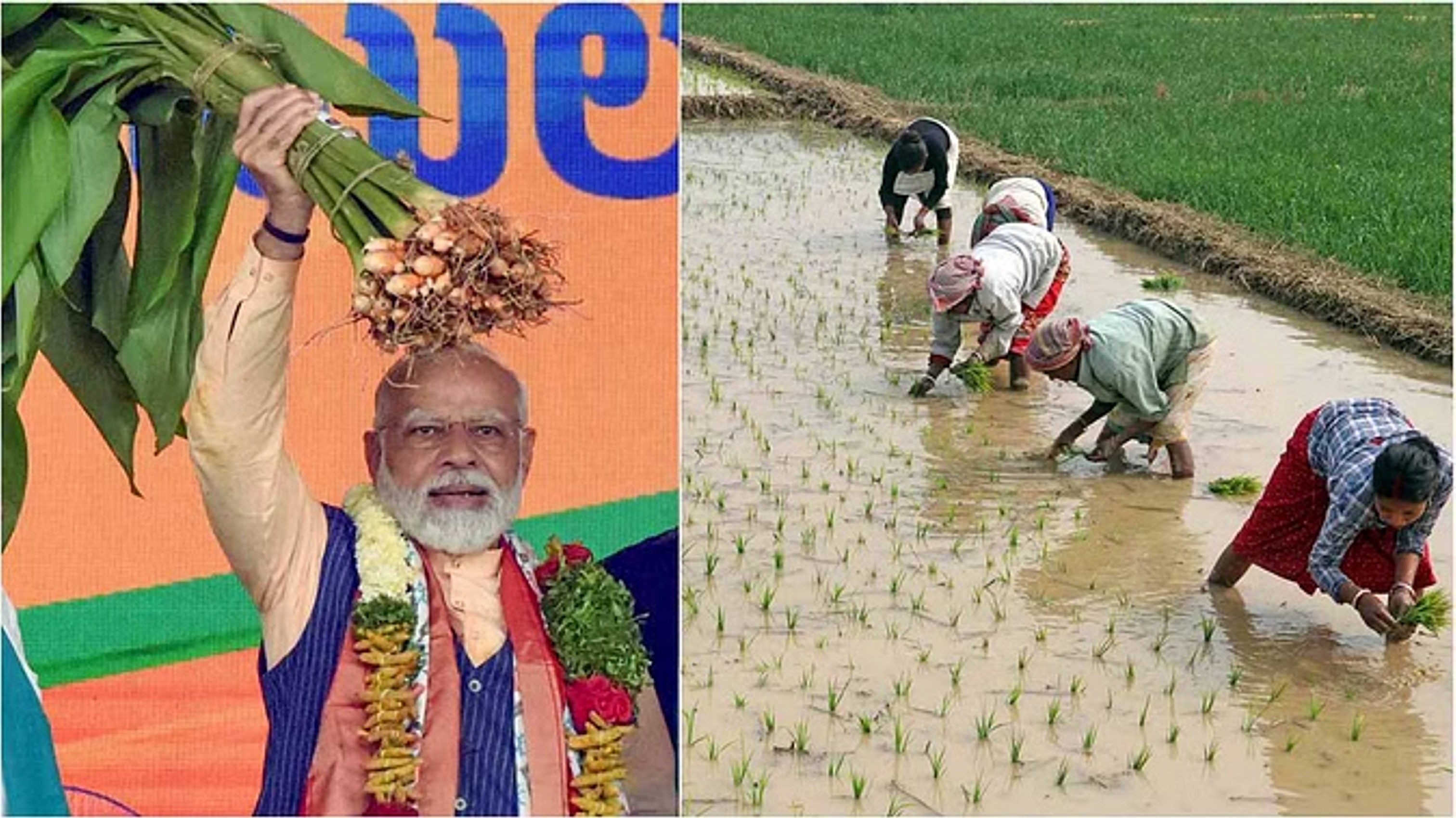 पीएम मोदी के कार्यकाल में कृषि क्षेत्र का चेहरा बदलने पर जोर