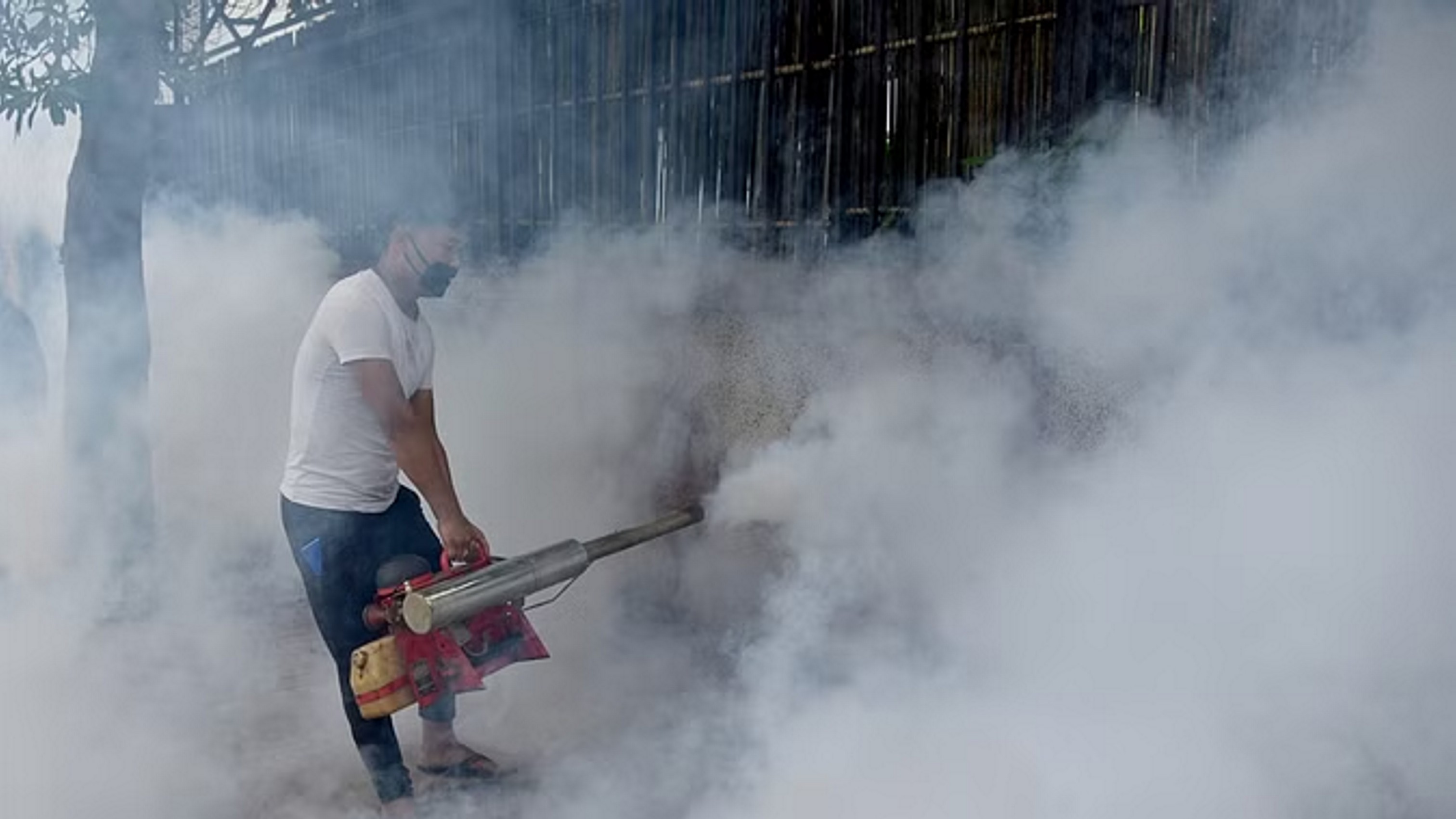 भारत में मलेरिया उन्मूलन परियोजना का अंतिम चरण आज से शुरू