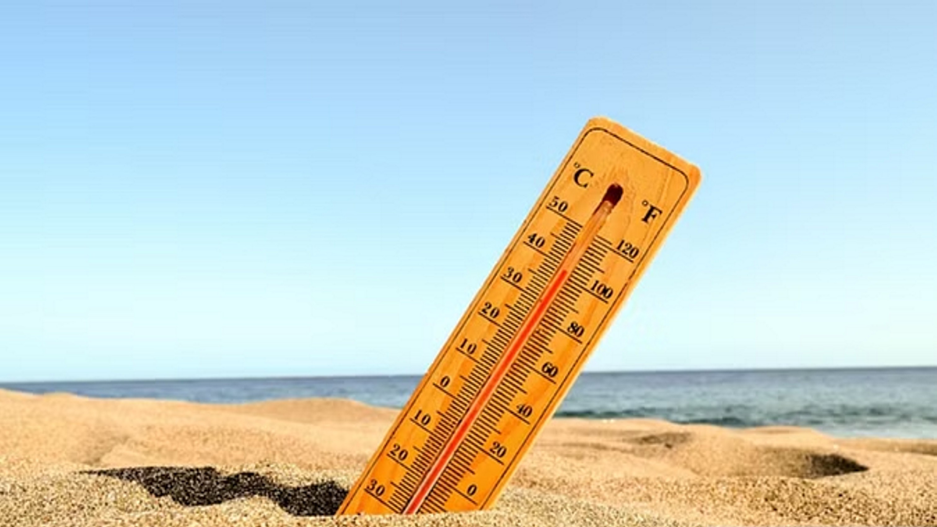 2024 जलवायु रिकॉर्ड का सबसे गर्म साल होने की आशंका