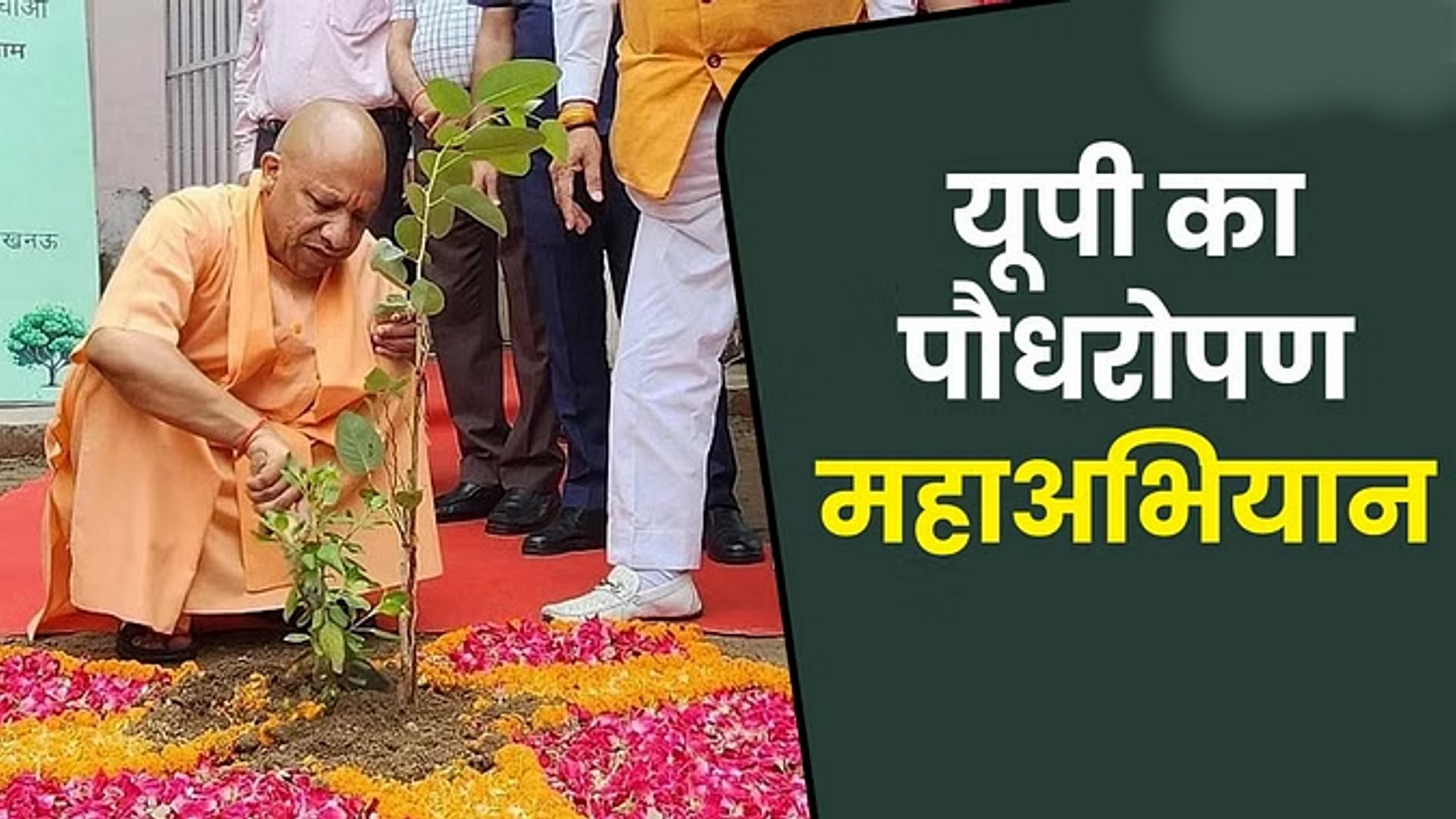 आज प्रदेश में बनेगा 36.50 करोड़ पौधे रोपने का रिकॉर्ड, कुकरैल नदी के तट से करेंगे अभियान शुरू