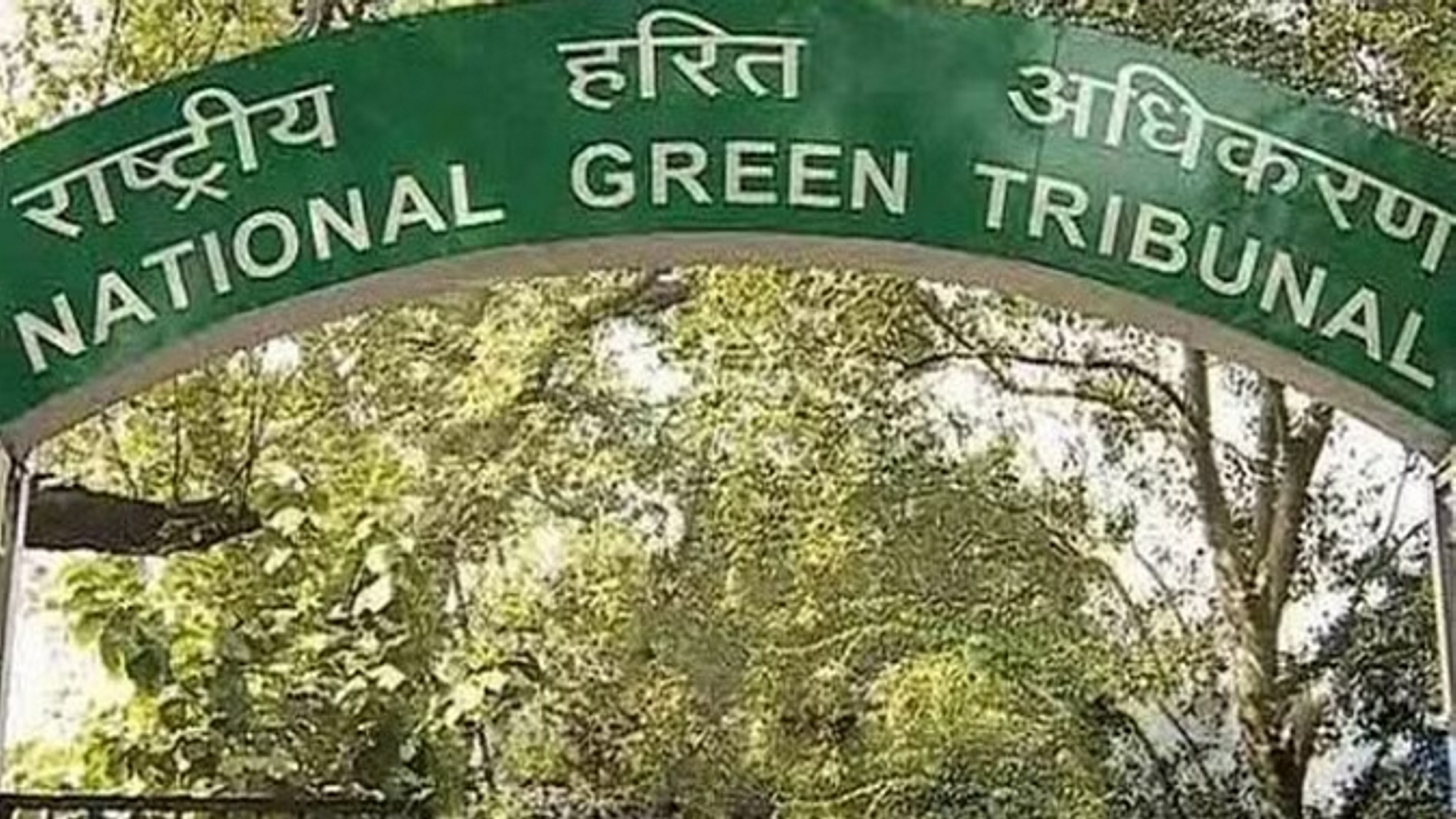 एनजीटी ने नालों से गाद निकालने के लिए एजेंसियों को दिए निर्देश