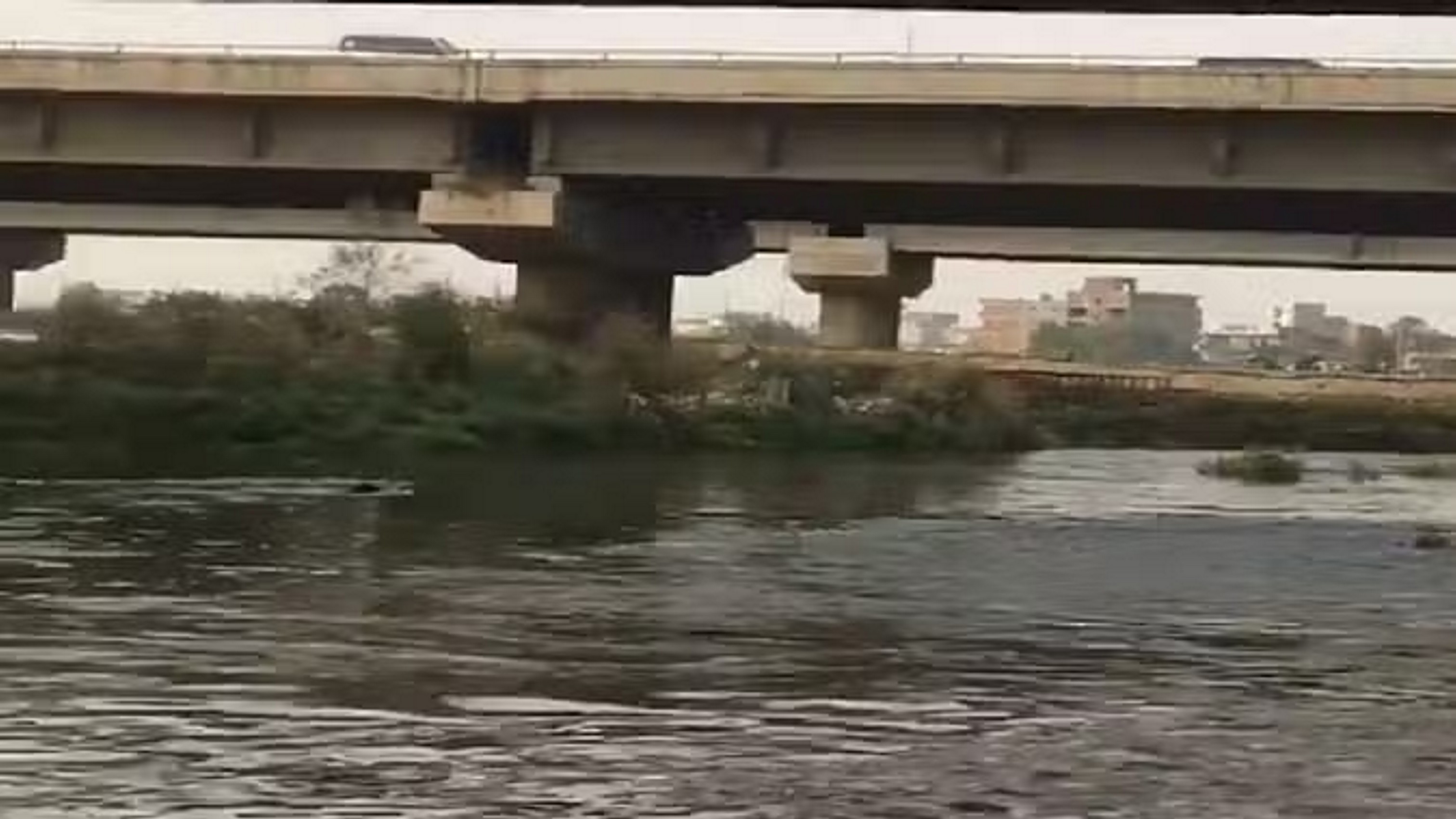 हिंडन नदी में भी प्रदूषण, यूपी के मुख्य सचिव व अन्य को NGT का नोटिस