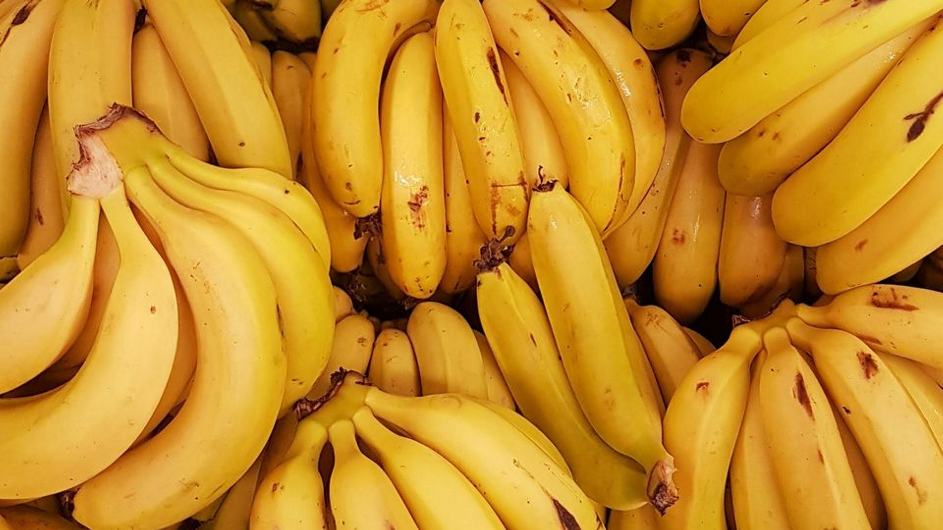 जलवायु परिवर्तन से घट जाएगा केले का 60% उत्पादन