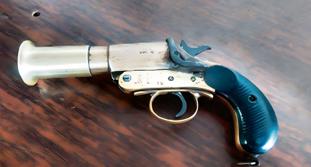 मेहंदी समारोह में युवक की लाइसेंसी पिस्टल से अचानक चली गोली, महिला घायल