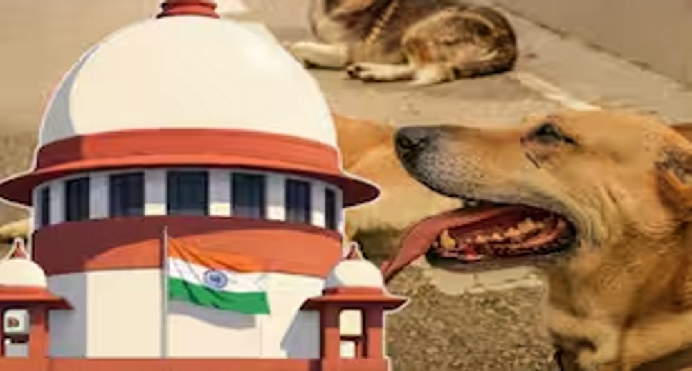रेबीज और गंभीर रूप से बीमार कुत्तों को मारने का निर्देश:  सुप्रीम कोर्ट